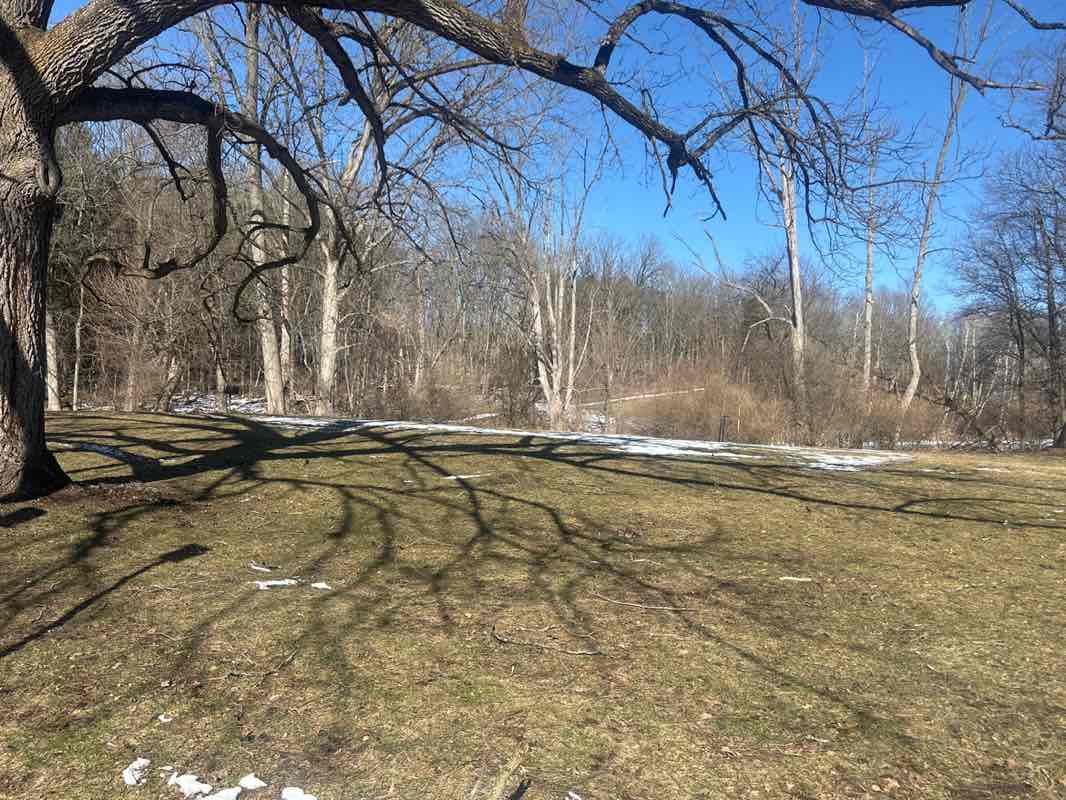 walking near me in Black Creek Park in spring