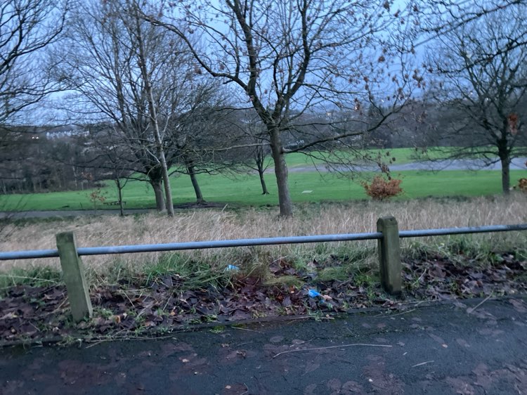 walking near me in Peel Park in winter