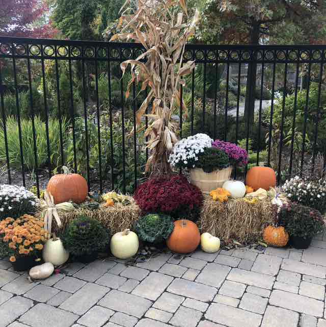 jbrodie2007 🐿🐿❄️ post 2