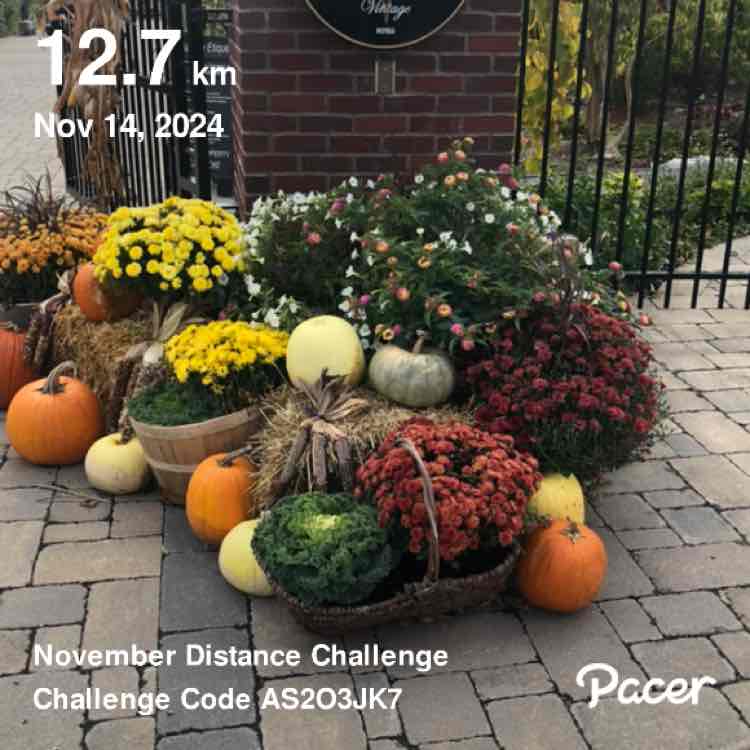 jbrodie2007 🐿🐿❄️ post 1