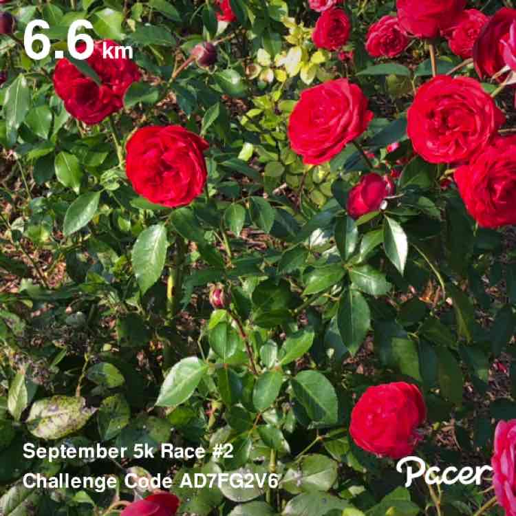 jbrodie2007 🐿🐿❄️ post 1