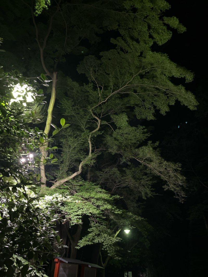 walking near me in 鴨川公園 in summer