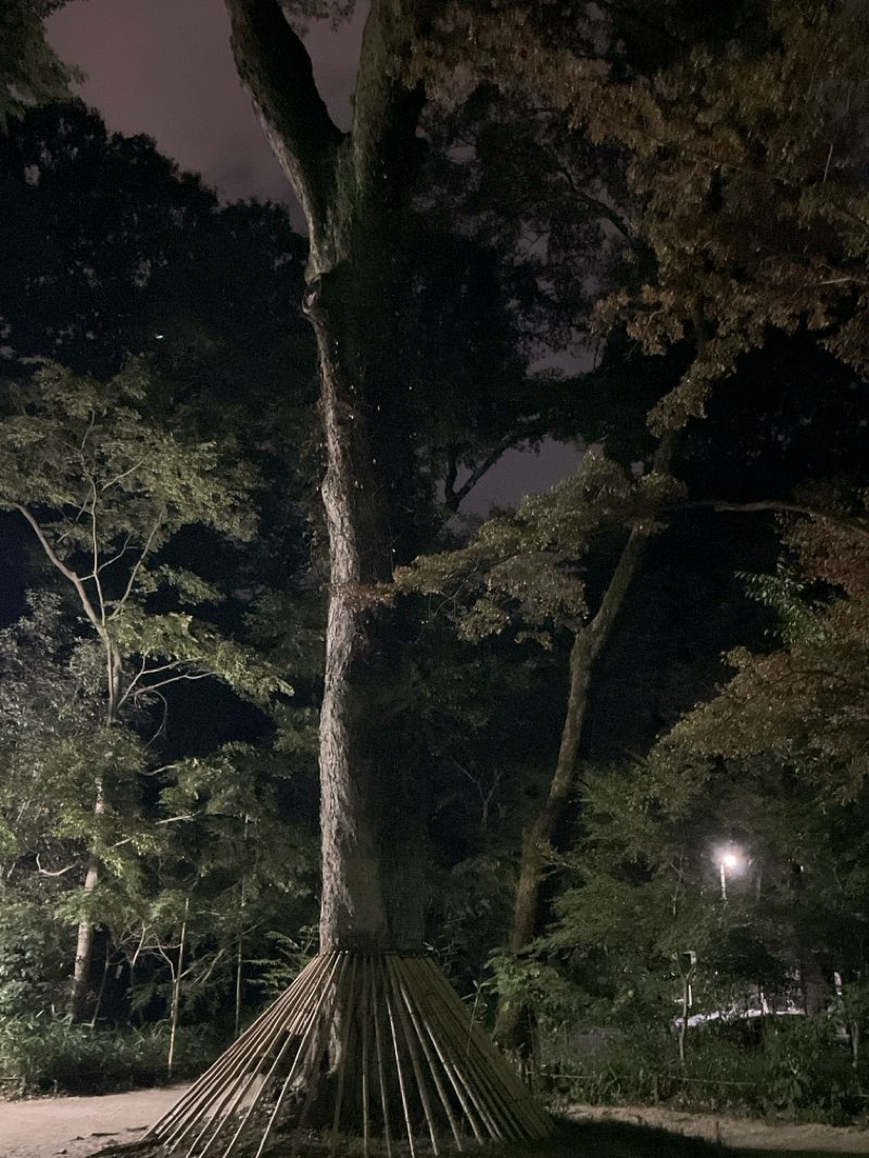 walking near me in 鴨川公園 in autumn