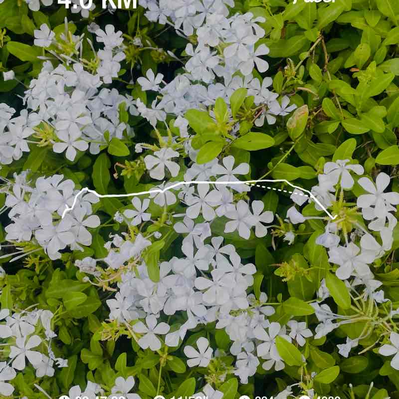 Madhusudhan Reddy Chinamala post 1