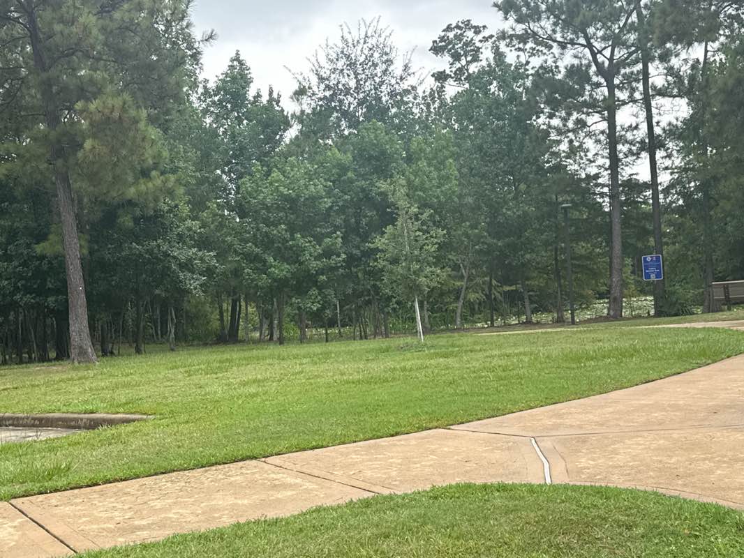 walking near me in Atascocita Park in summer