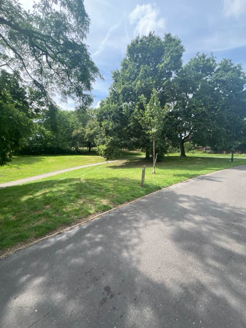 walking near me in Preston Park in summer