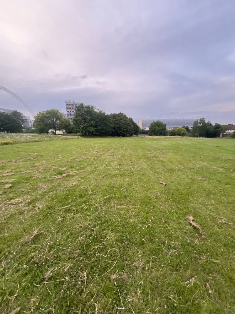 walking near me in Sherrins Farm Open Space in summer