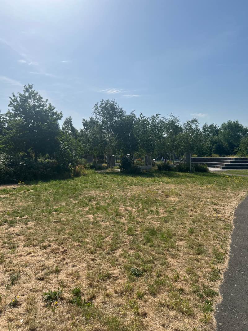 walking near me in Chalkhill Park in summer