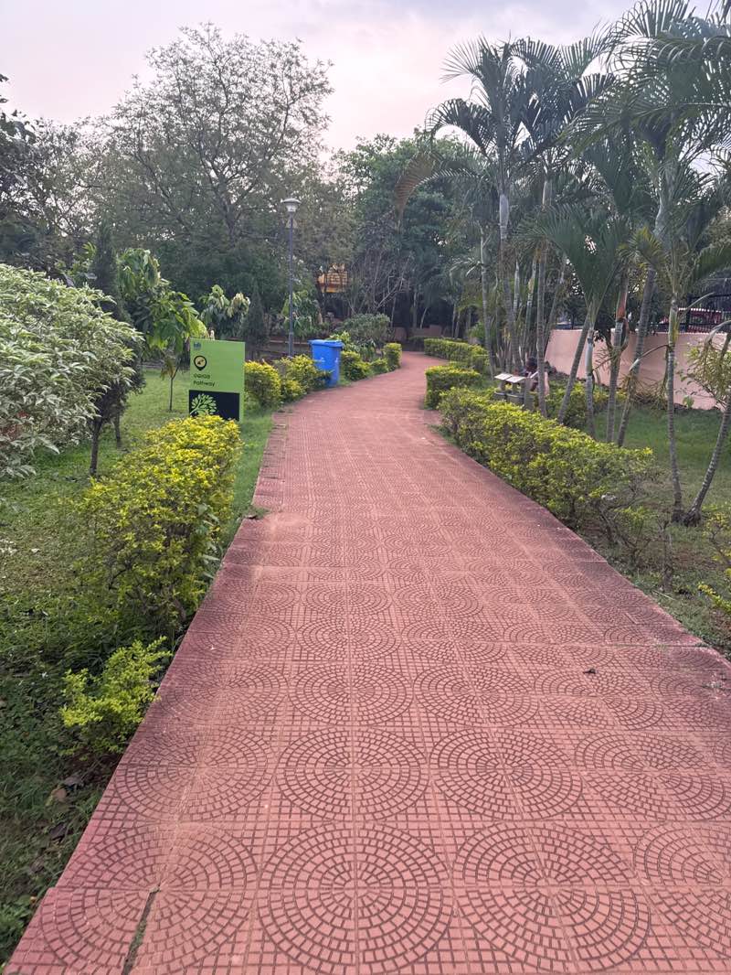 walking near me in Netaji Subash chandra Bose Park in winter