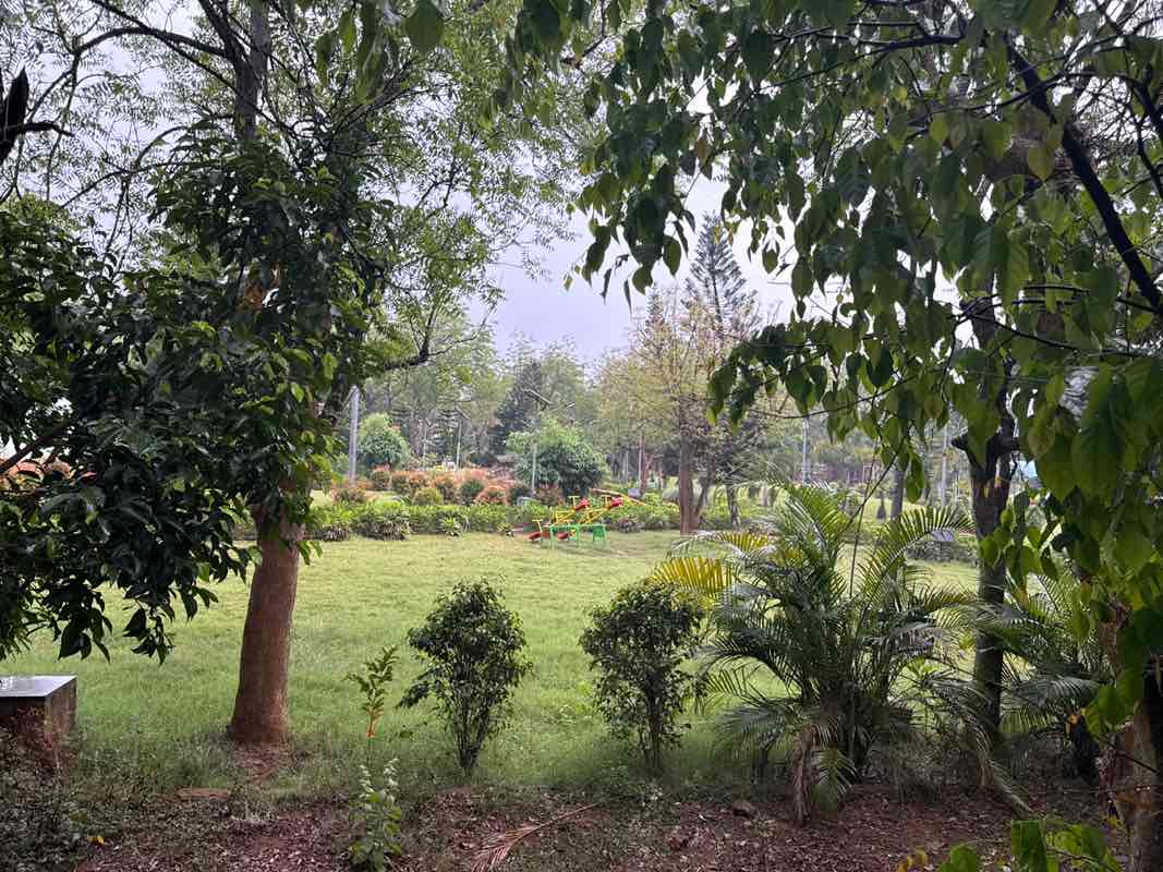 walking near me in Biju Pattnaik Energy Park in winter