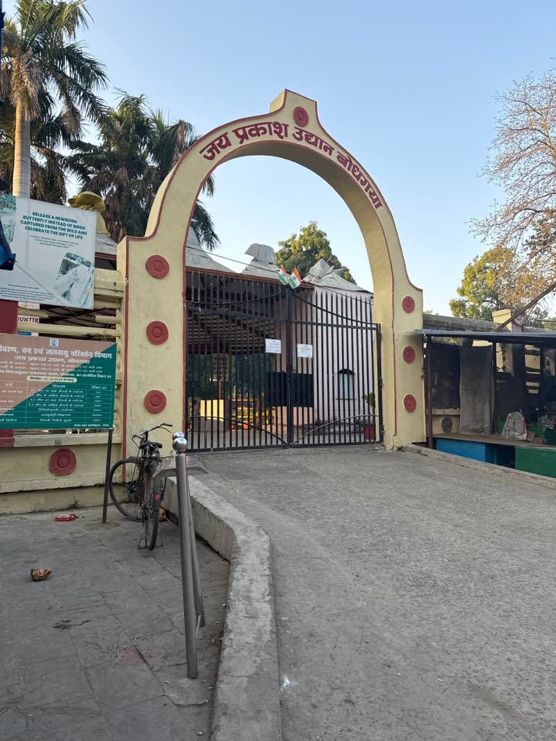 walking near me in Jaiprakash Park in winter