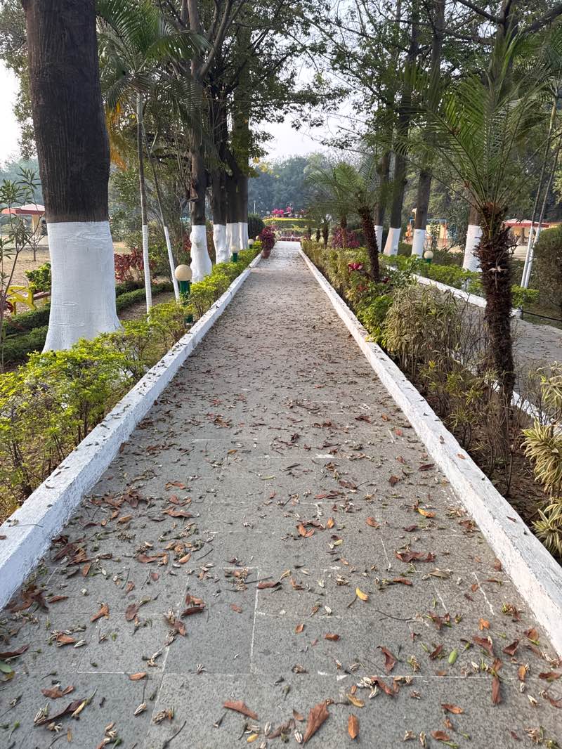 walking near me in Sidho Kano Park in winter