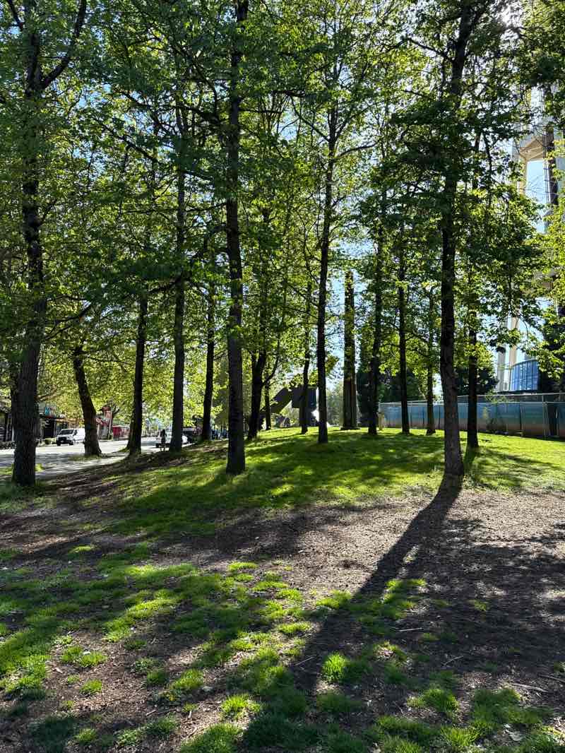 walking near me in Seattle Center in spring