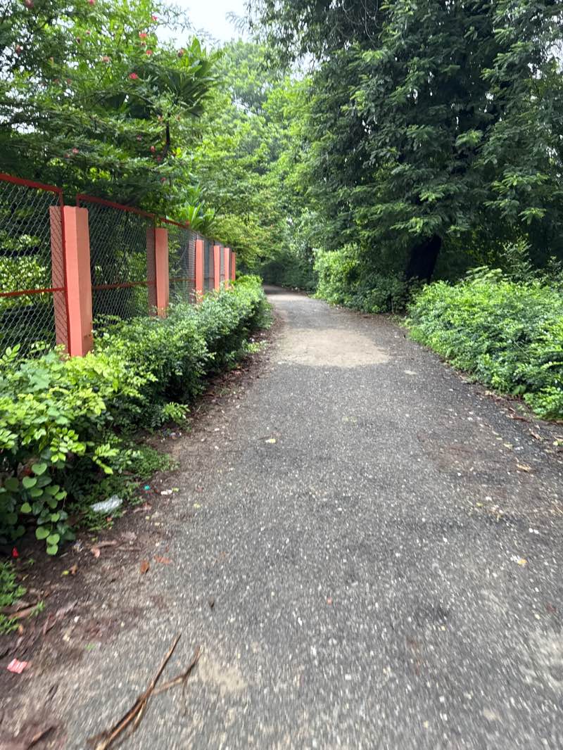 walking near me in Vindhyavasani Park in autumn