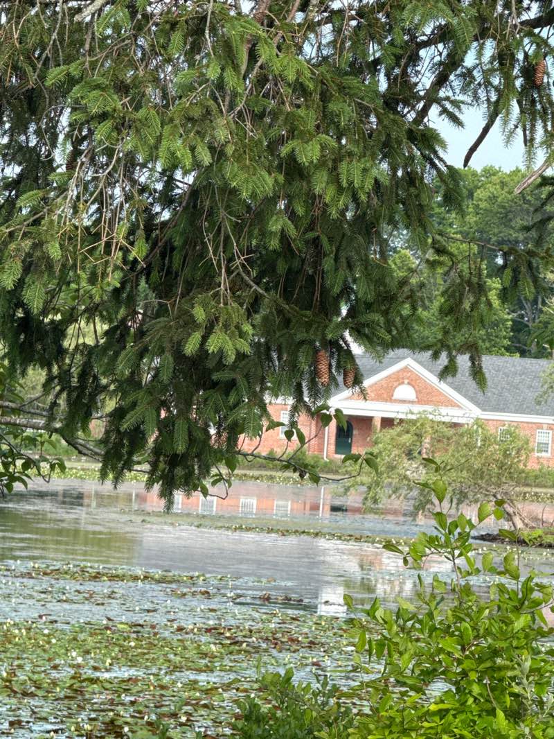 walking near me in Buttonwood Park in summer