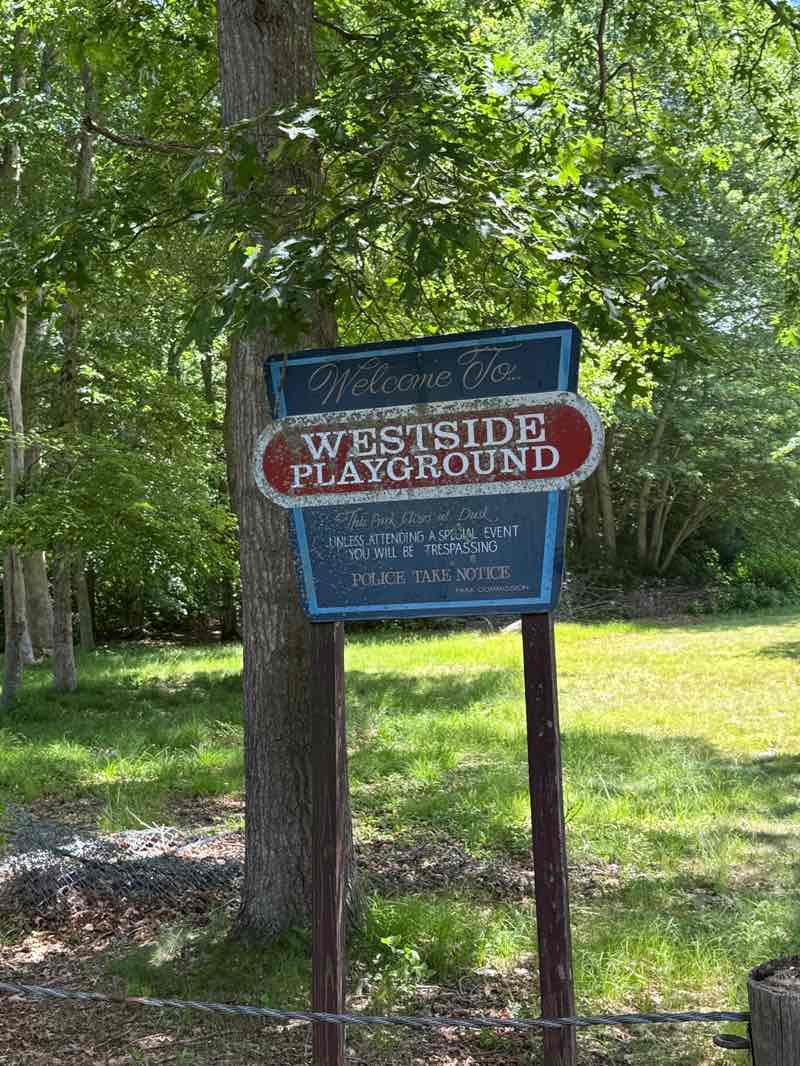 walking near me in Westside Playground in summer