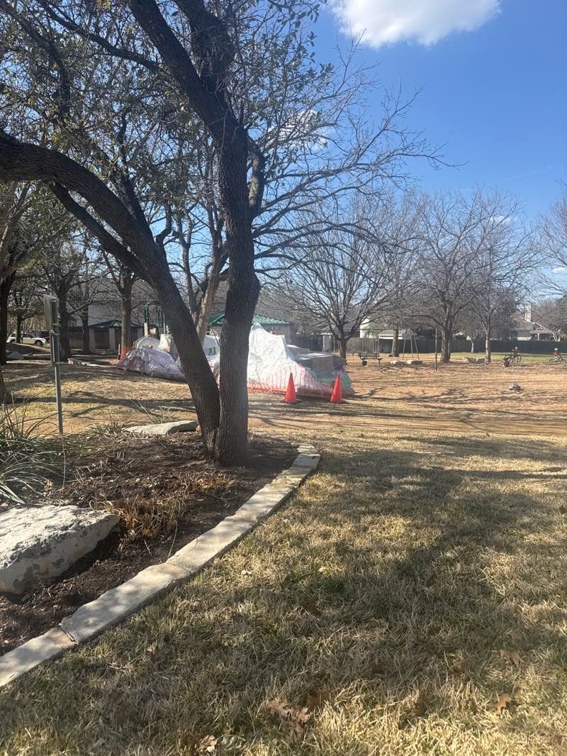 walking near me in Fern Bluff Park in spring
