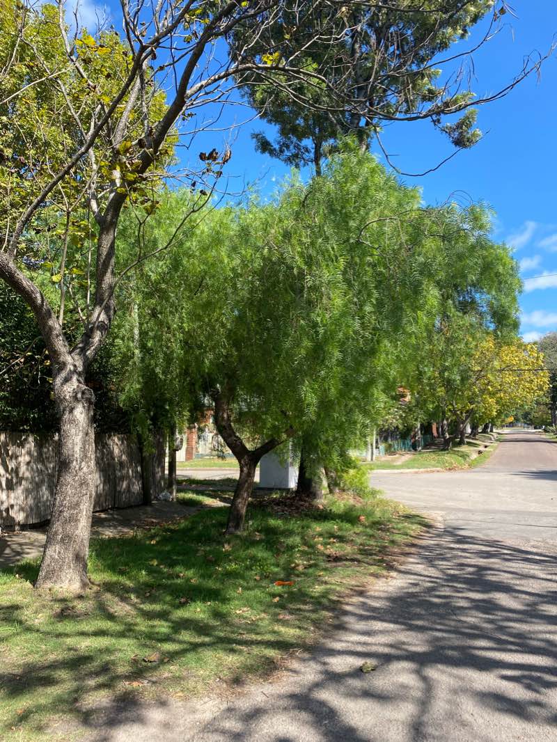 walking near me in Parque Urbano Carrasco Norte in summer