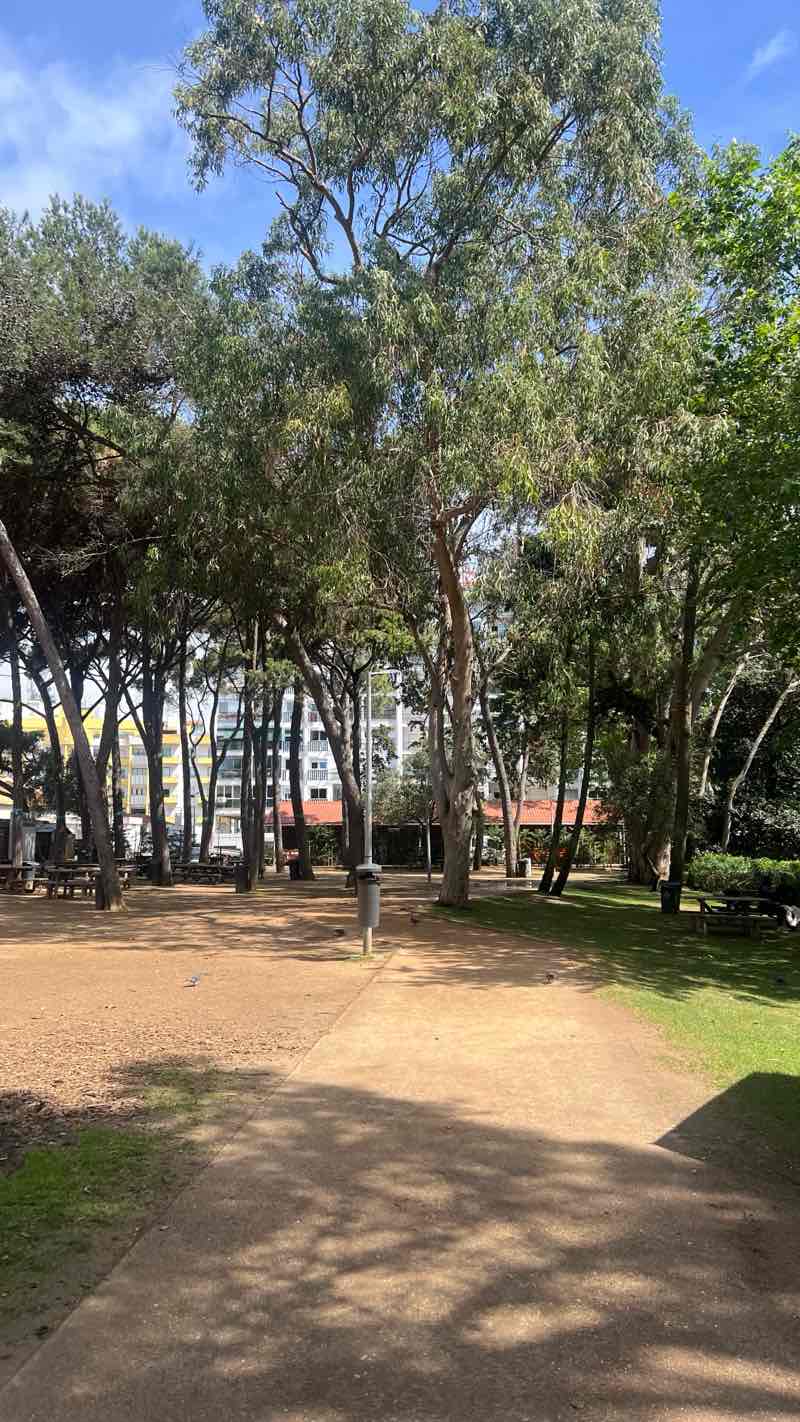 walking near me in Jardim da Alagoa in spring