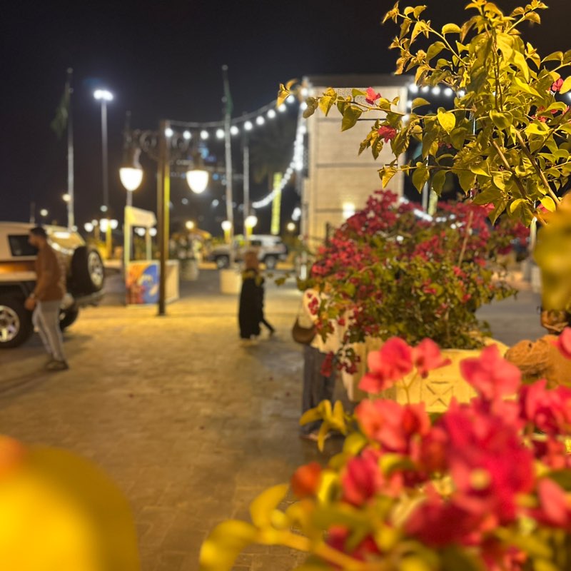 نورة🌸 بدايتي ٧٦ وباذن الله مستمره حتى اوصل ٦٠ profile