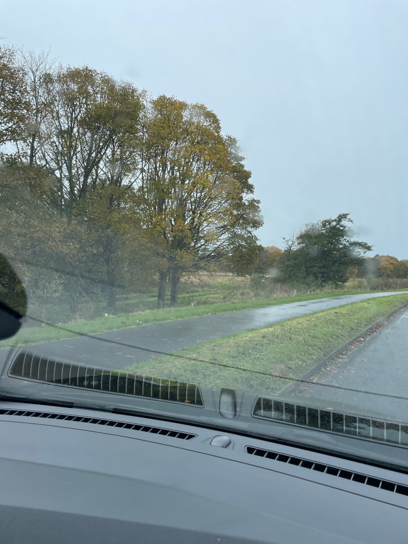 walking near me in Stronsay Park in autumn