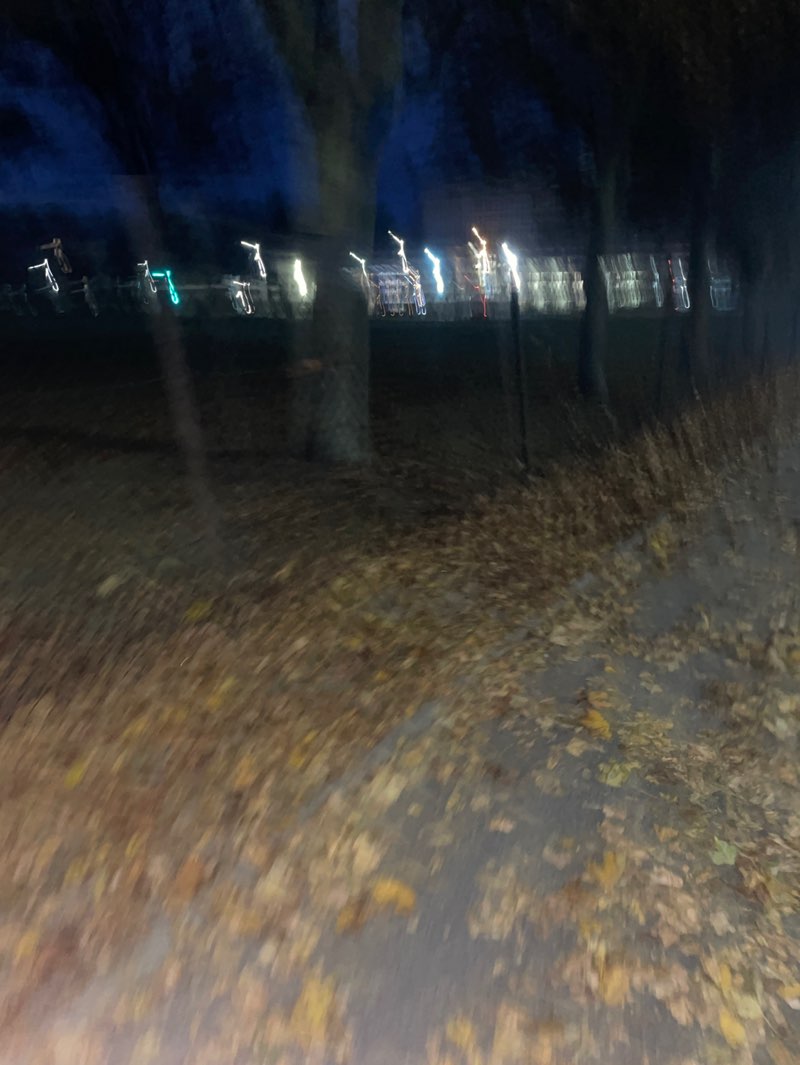 walking near me in St Machar Park in autumn