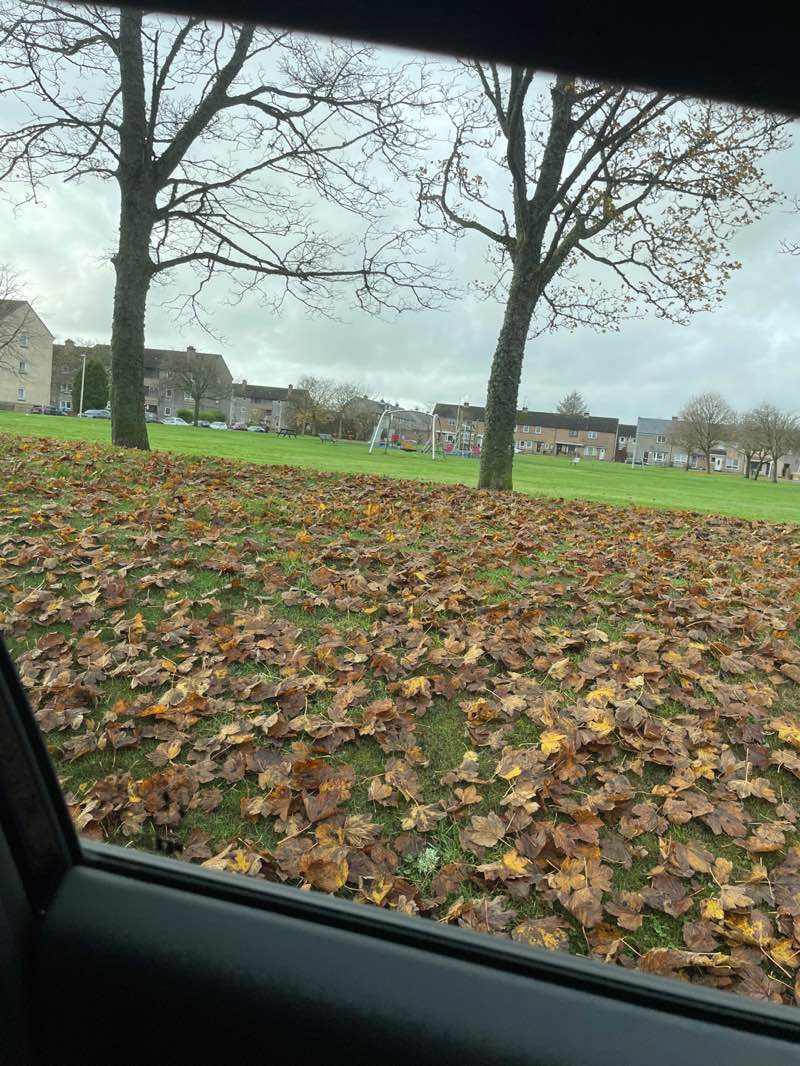 walking near me in Hallfield Park in autumn