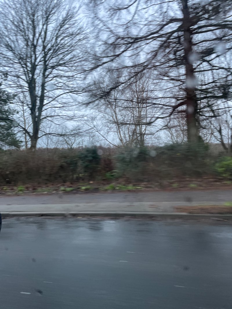 walking near me in Denman Park in winter