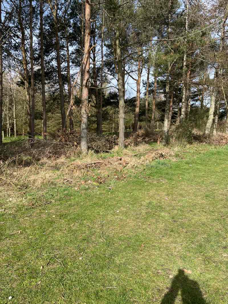 walking near me in Westfield Park in spring