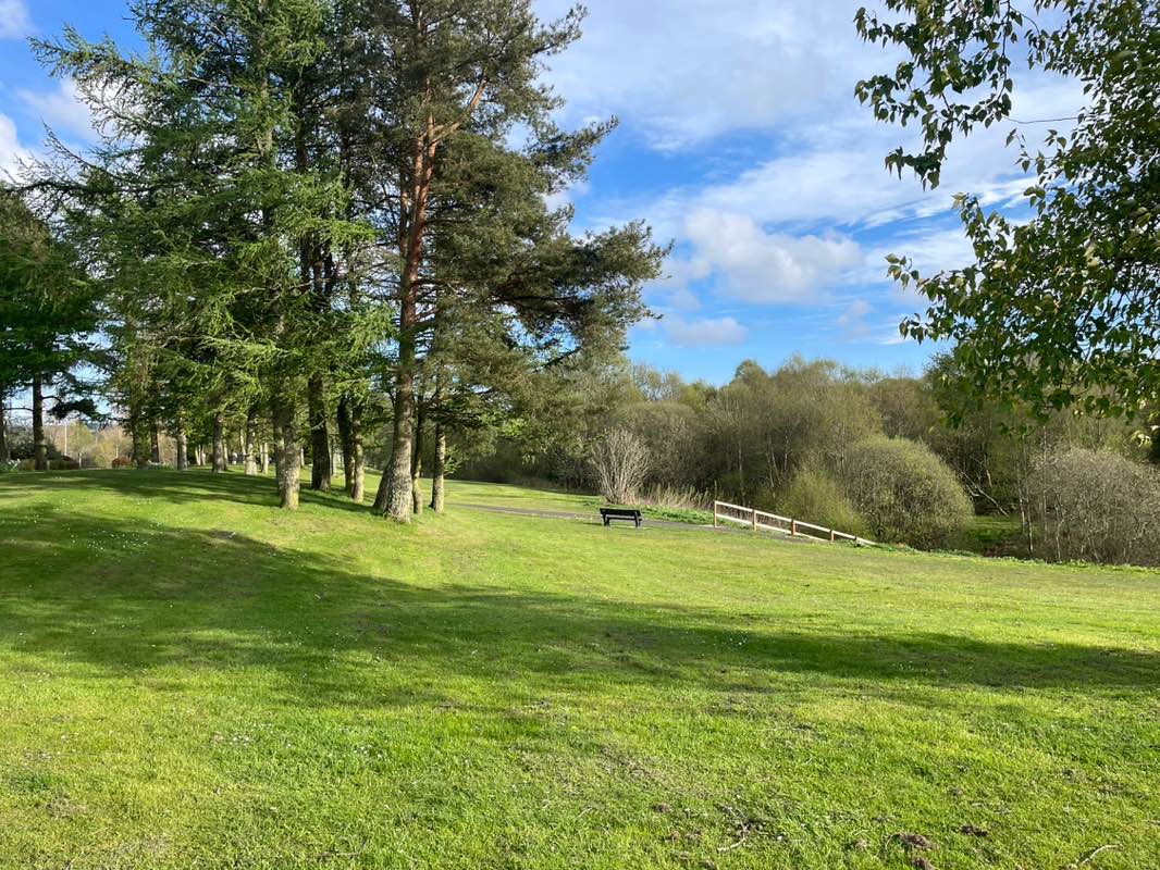 walking near me in Arnhall Moss Local Nature Reserve in spring