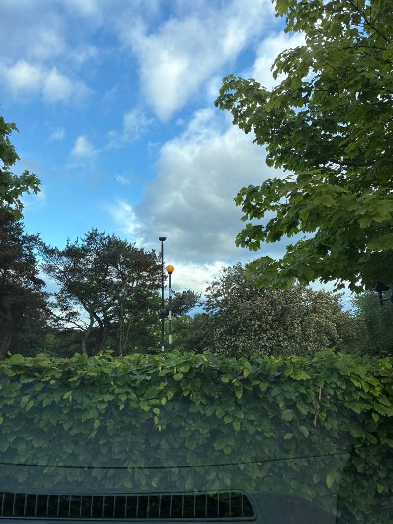 walking near me in Denman Park in summer