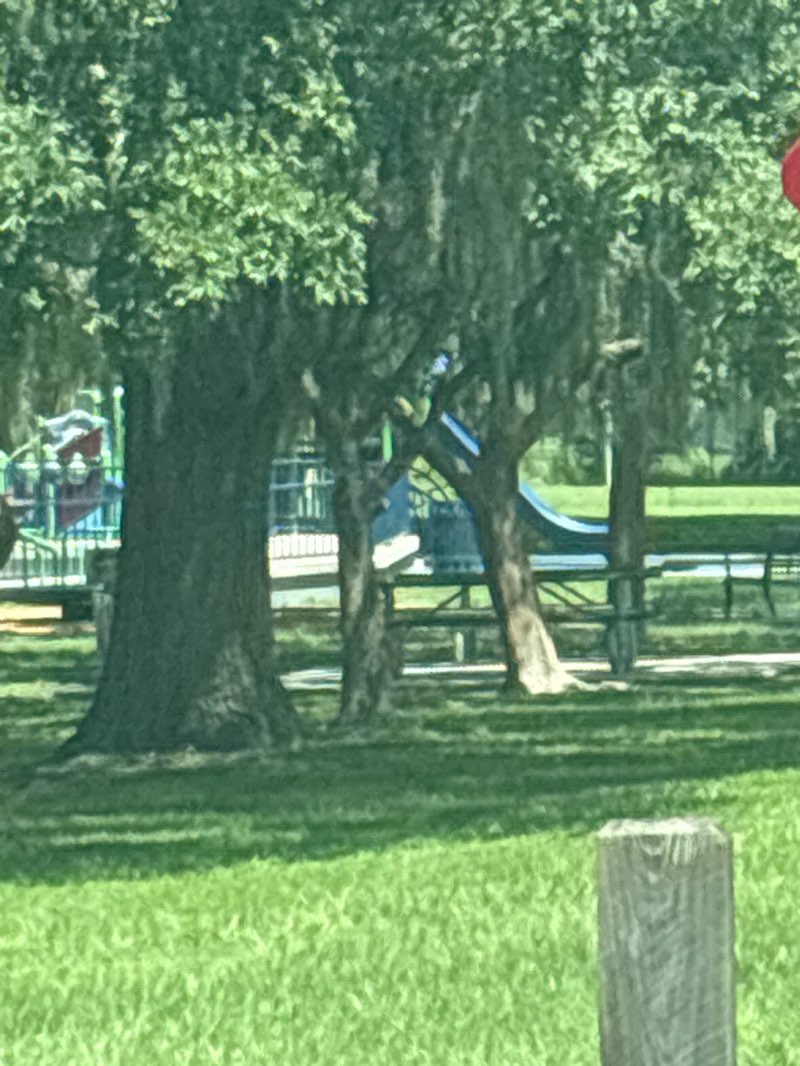 walking near me in Lillian F Bryant Park in autumn