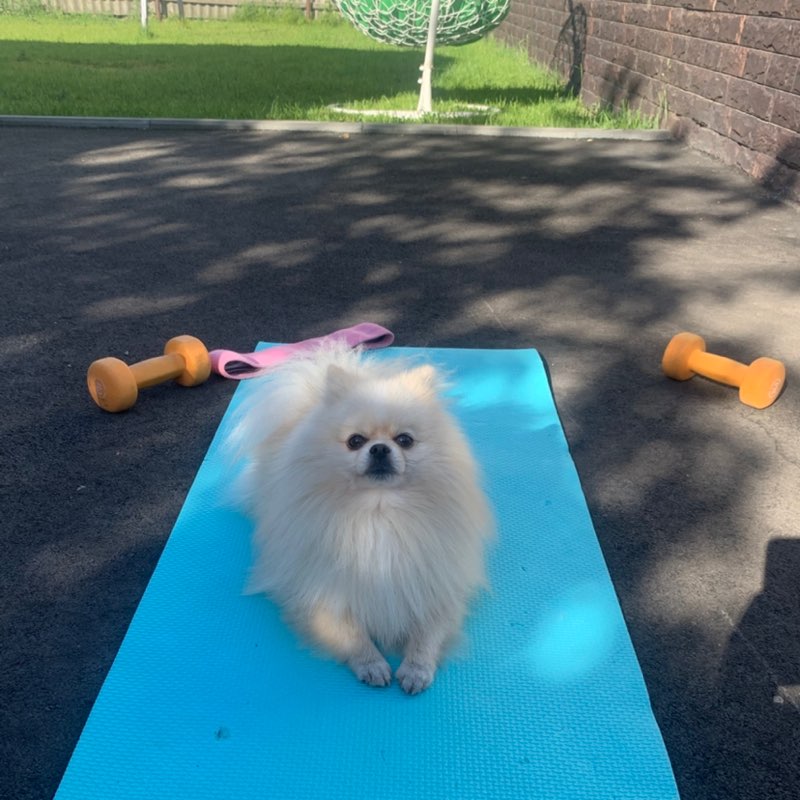 Карина profile