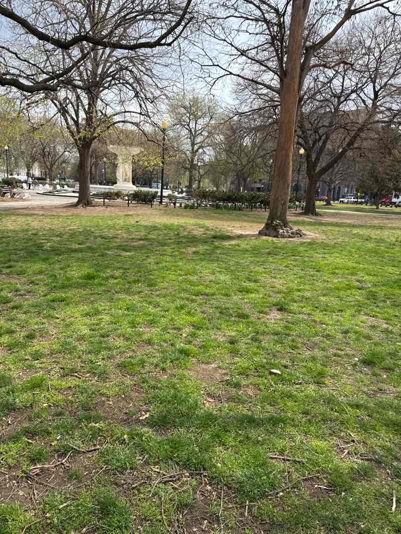 walking near me in Dupont Circle in spring
