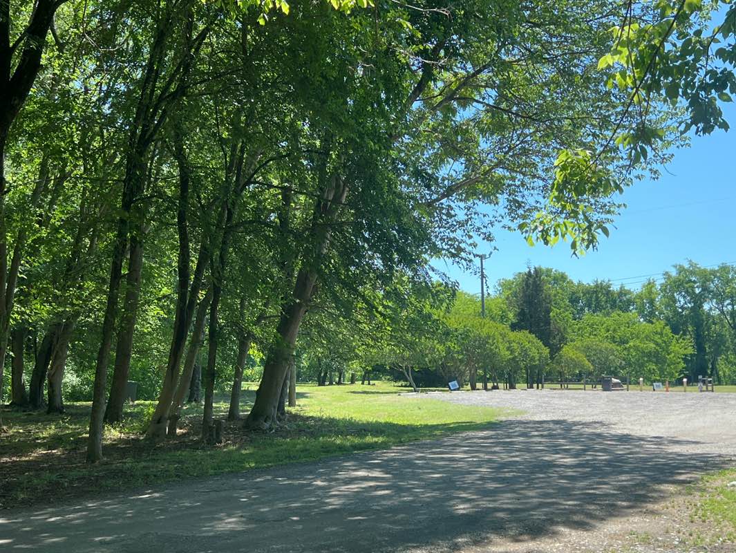 walking near me in Appamatuck Park in spring