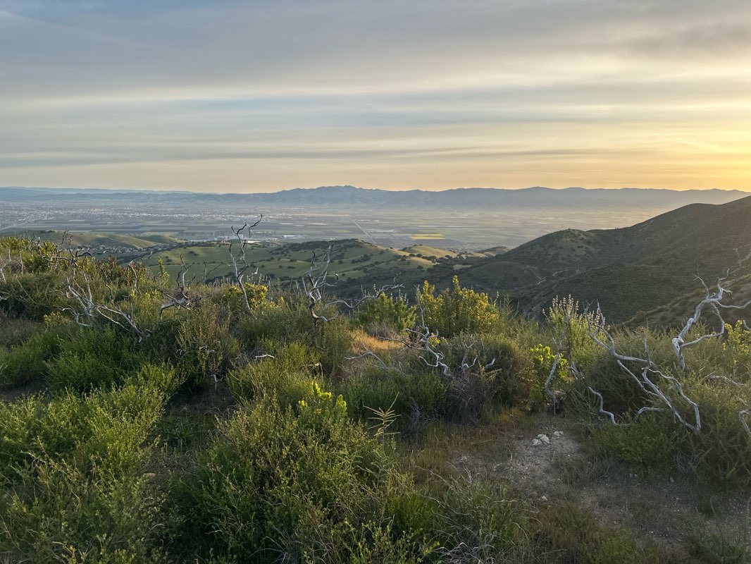 walking near me in Toro Regional Park in spring
