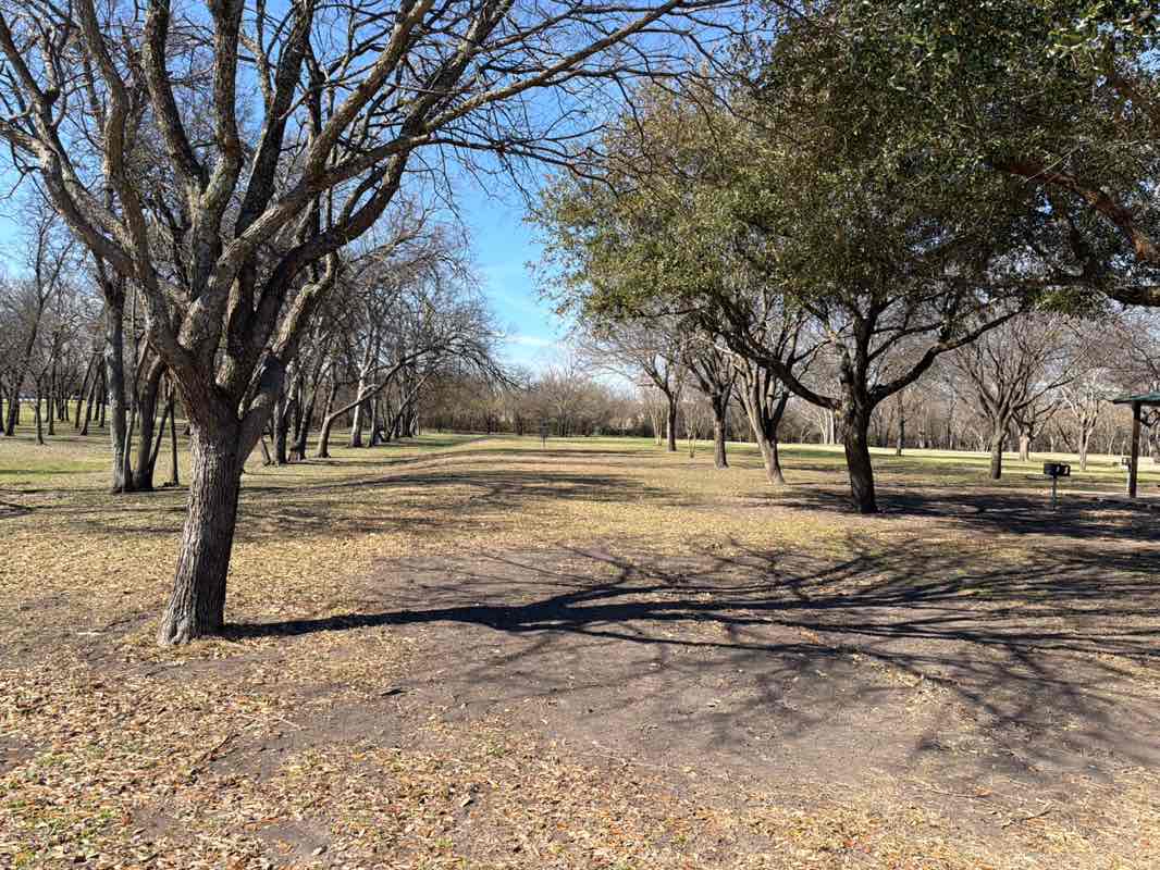 walking near me in Brown Singleton Park in winter