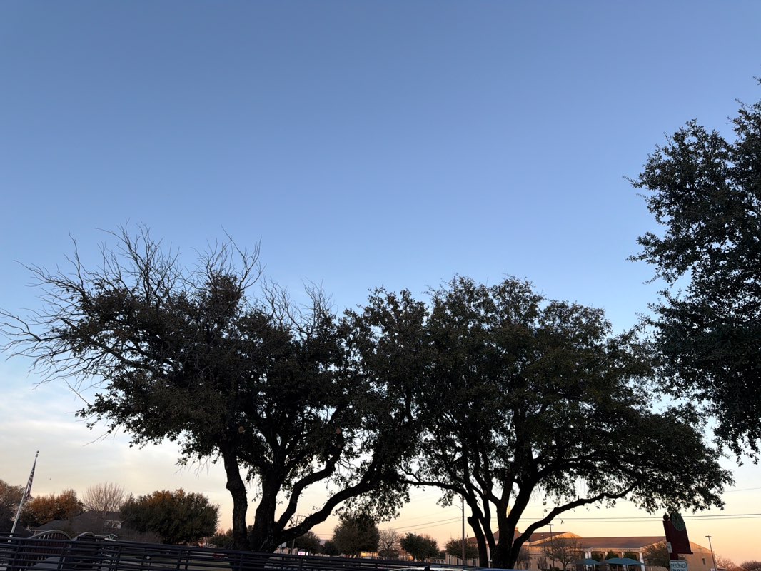 walking near me in Chapman Park in winter