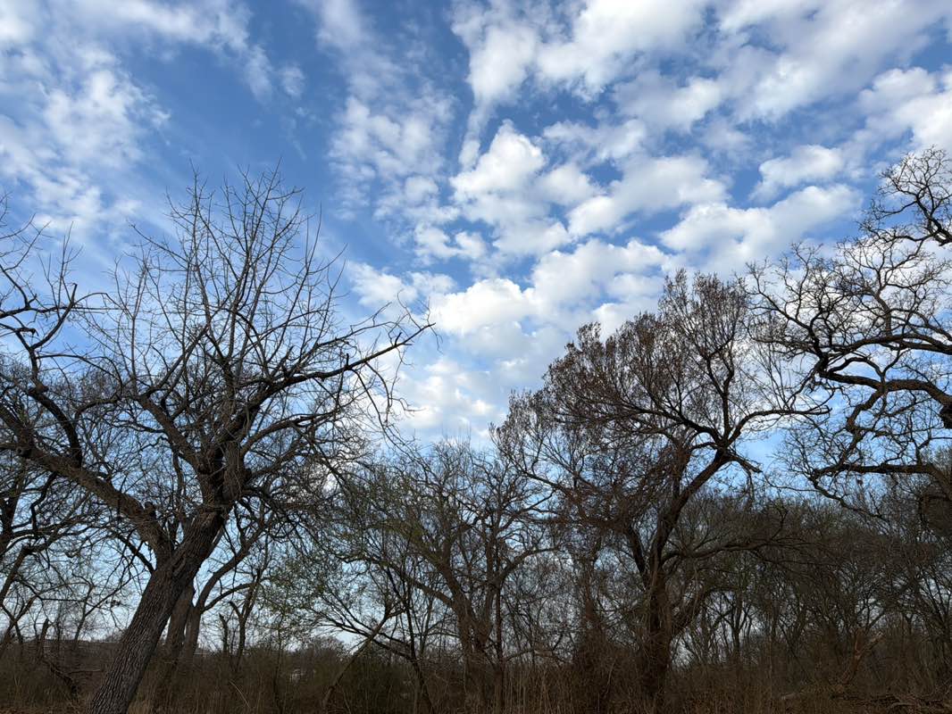 walking near me in Getzendaner Memorial Park in winter
