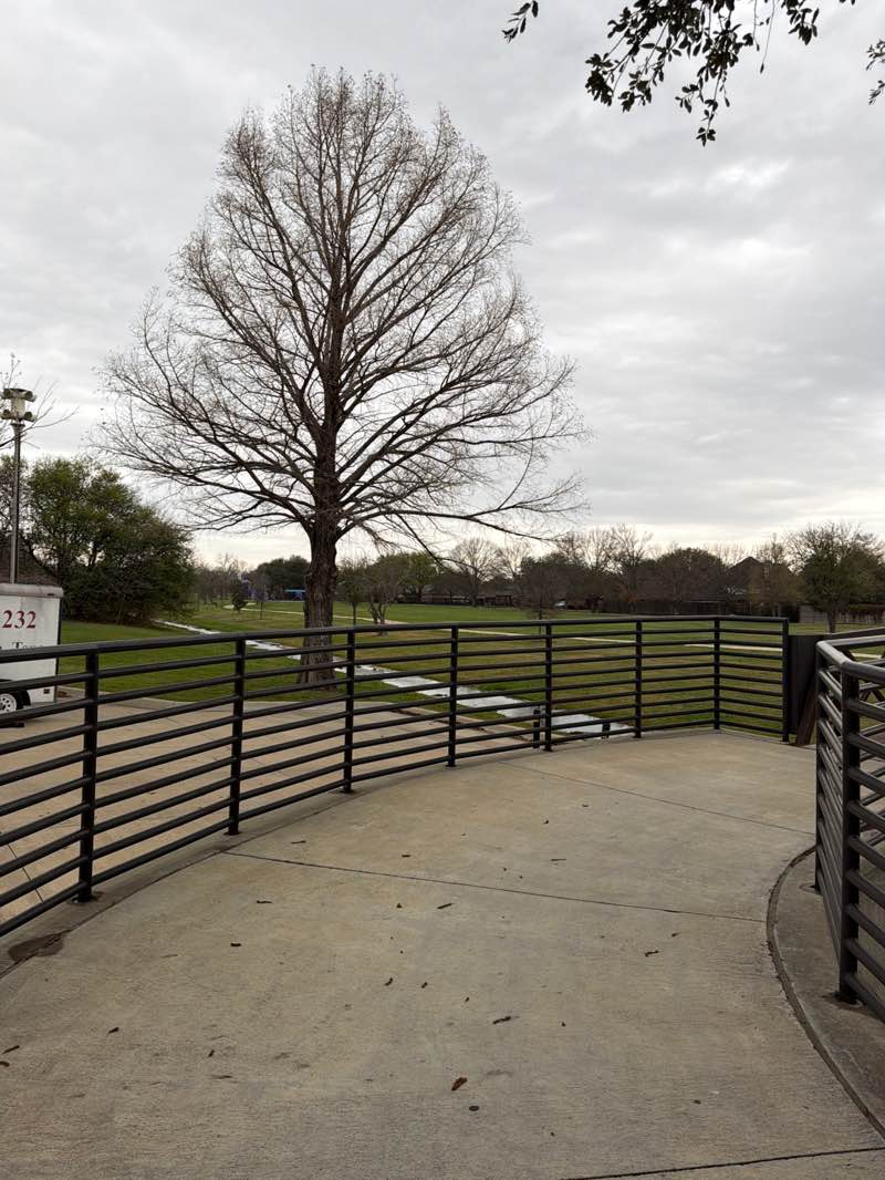 walking near me in Chapman Park in spring