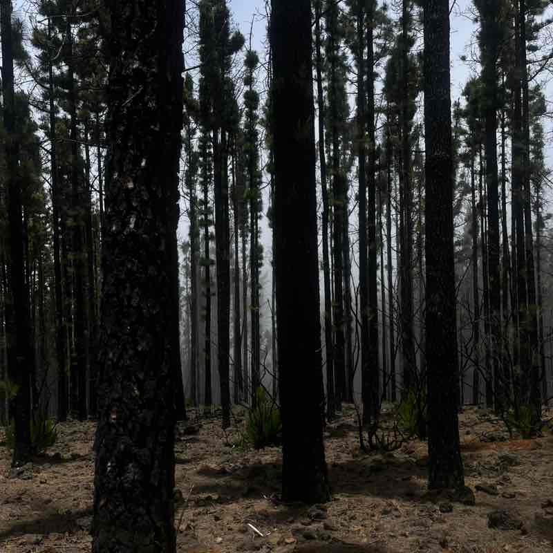 🏴󠁧󠁢󠁥󠁮󠁧󠁿Brodz & Gizmo🏴󠁧󠁢󠁥󠁮󠁧󠁿 post 3