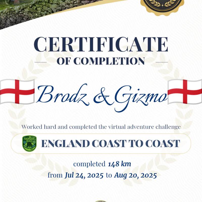 🏴󠁧󠁢󠁥󠁮󠁧󠁿Brodz & Gizmo🏴󠁧󠁢󠁥󠁮󠁧󠁿 post 2