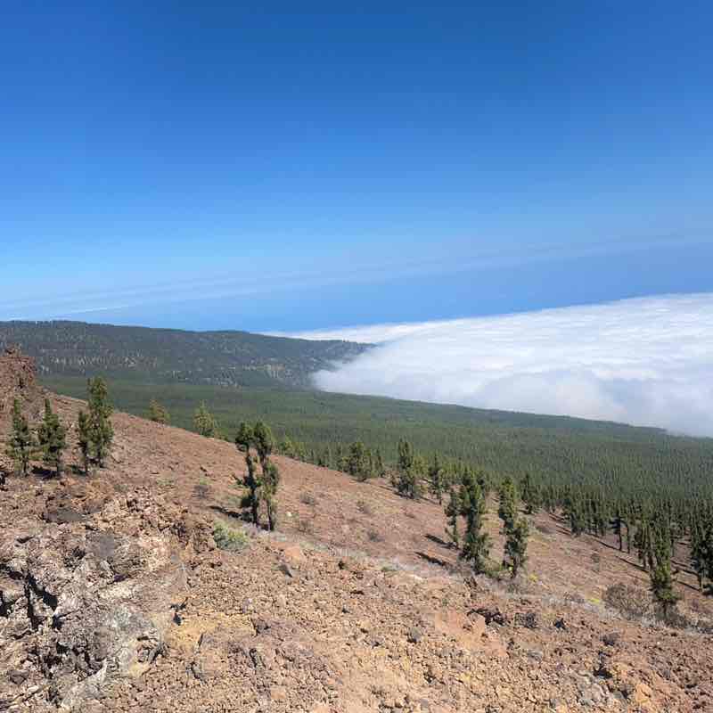 🏴󠁧󠁢󠁥󠁮󠁧󠁿Brodz & Gizmo🏴󠁧󠁢󠁥󠁮󠁧󠁿 post 3