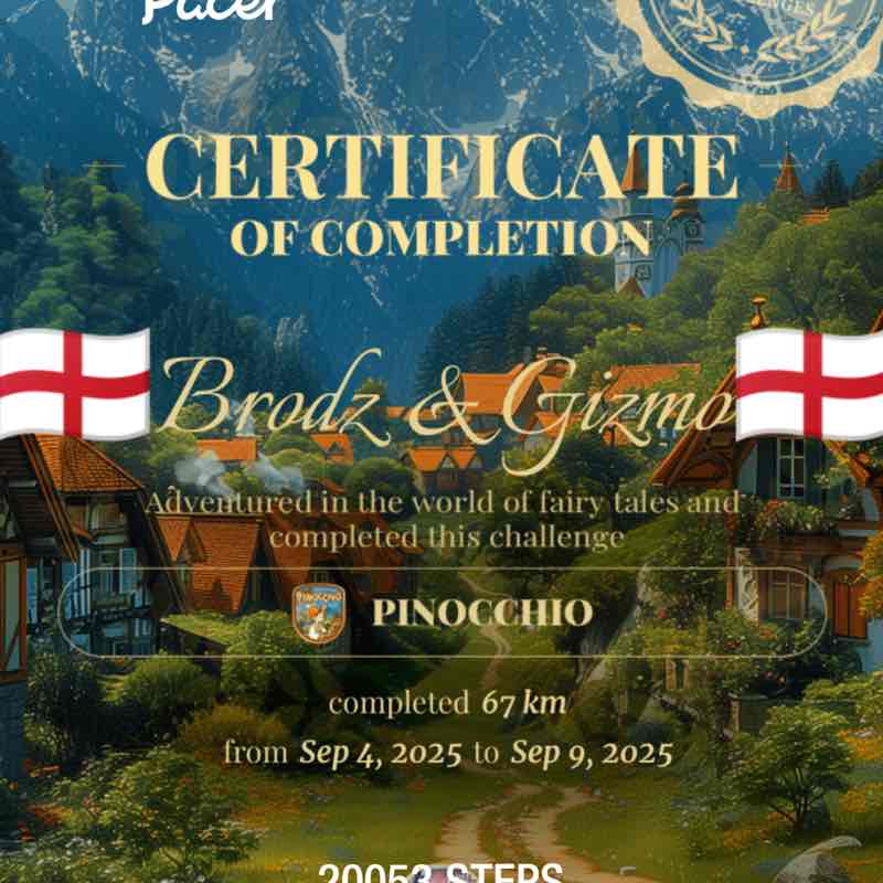 🏴󠁧󠁢󠁥󠁮󠁧󠁿Brodz & Gizmo🏴󠁧󠁢󠁥󠁮󠁧󠁿 post 1