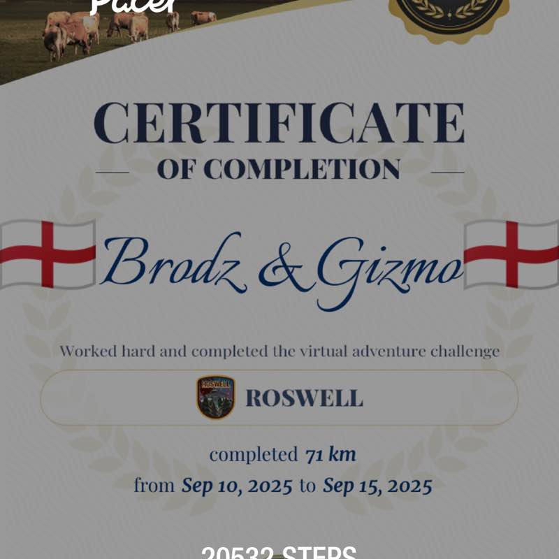 🏴󠁧󠁢󠁥󠁮󠁧󠁿Brodz & Gizmo🏴󠁧󠁢󠁥󠁮󠁧󠁿 post 1