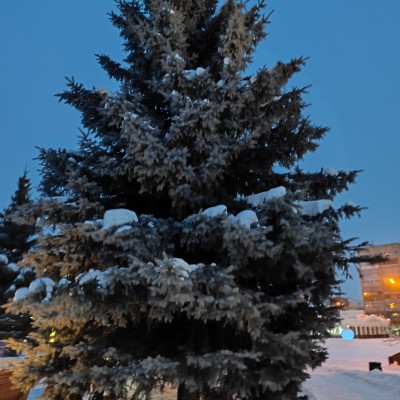 Ковыляющая банда Саня Z🇷🇺 post image