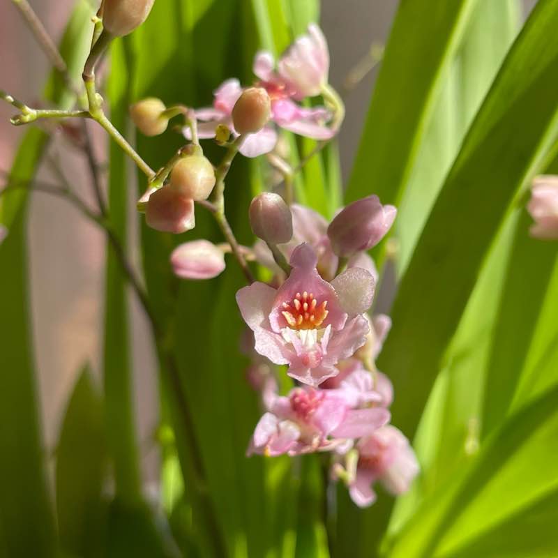 晴朗家園 晴朗家園 post image