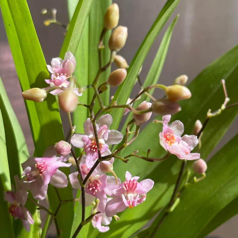 晴朗家園 晴朗家園 post image