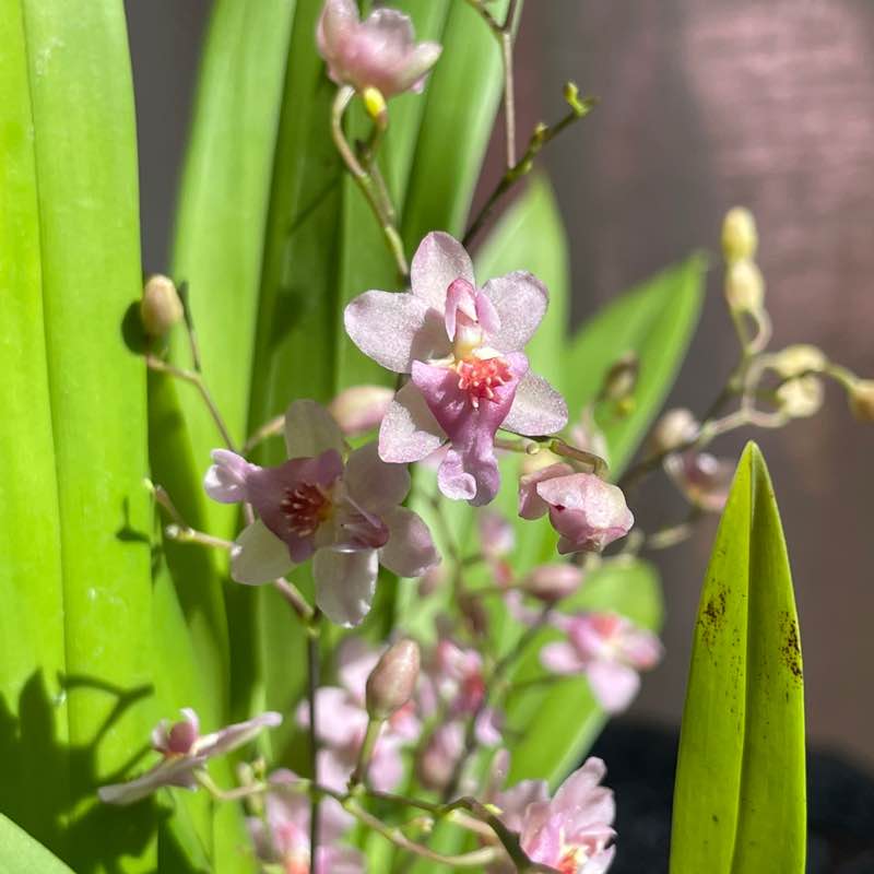 晴朗家園 晴朗家園 post image