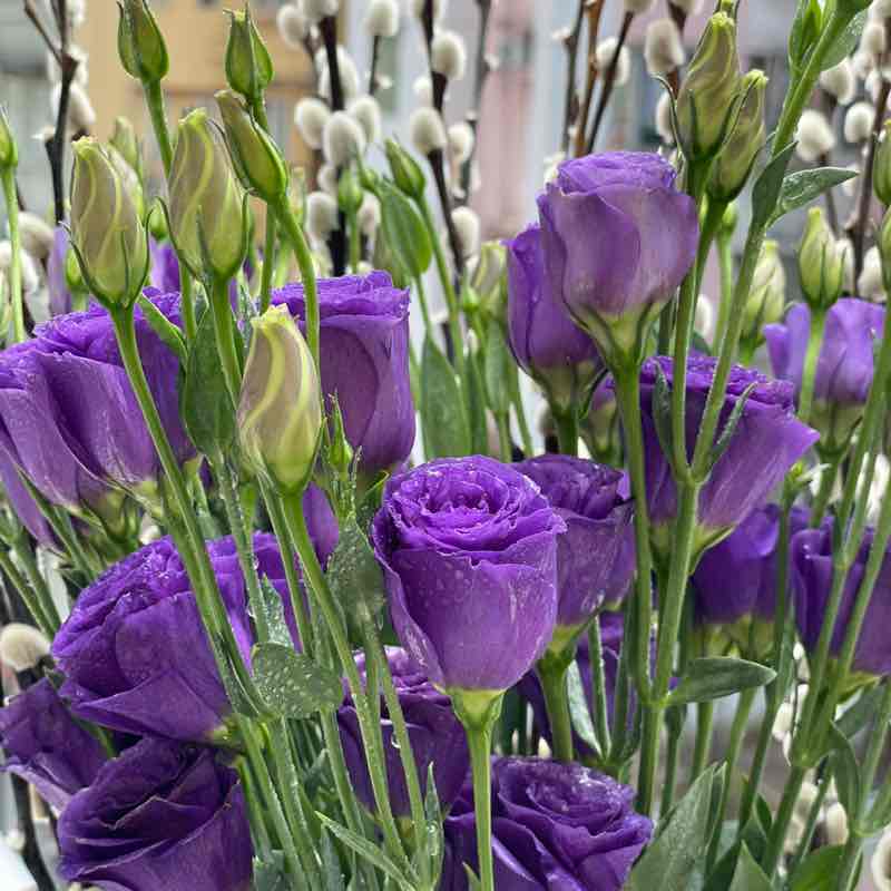 晴朗家園 ꧁ℳ冬兒ℳ꧂ post image